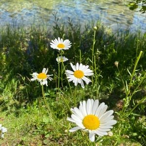 Meet your Posher, Joanna